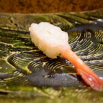 にぎり鮨 一五〇 - 甘海老（北陸フェア）