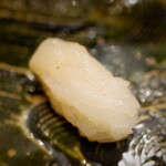 にぎり鮨 一五〇 - 白海老（北陸フェア）