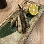 一丁 - メヒカリ