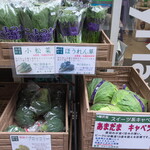 ラーメン 三亀 - 藤沢のほうれん草やあまだまキャベツ