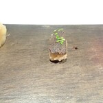 ラストノート - 