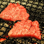 みやび - ランボソ（らんいち）