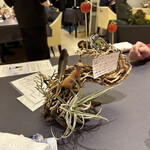 プレゼンテ スギ - 