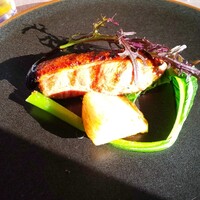 スミレオオサカ - 