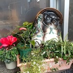 Tanuki - 