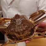 一本杉 川嶋 - 『輝き』級の加能ガニ