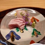 一本杉 川嶋 - クエとメジマグロ