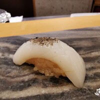 京橋 寿司 ひさ田 - あおりいか