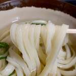 山内うどん店 - 