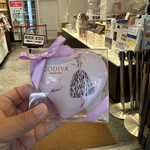 GODIVA - 