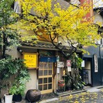 井泉 - 真冬の紅葉