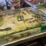 Oriental Seafood Gurney  - 