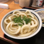 Junte Uchichi Sanuki Udon Gorou - あつあつうどん（小）