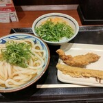 丸亀製麺 - 温かけ+天丼用ライス+ごぼう天+柏店