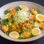 Colorful salad of Fukuoka Itoshima vegetables