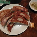 TaiKouRou JIYUGAOKA - とにかく驚くほどジャンボサイズな餃子