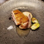 オッジ ダルマット - 