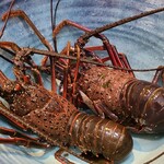 日本料理 TOBIUME - ⑥伊勢海老(鹿児島県阿久根産)
      産卵期は初夏～秋、旬は秋～冬
      アミノ酸が多く含み甘みがあり、プリッとした弾力のある食感が特徴
      海が荒れているから鹿児島の伊勢海老なんだ！と気付く
      m(_ _)m