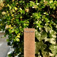 TACUBO - 屋号『TACUBO』。
