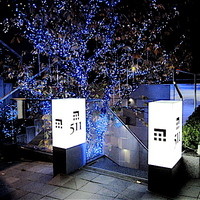 神戸牛511 - 