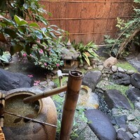 雪梅花 菜根譚 - 