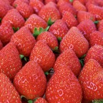 Karuizawa Garden Farm Ichigo En - 新鲜的草莓，甜美又芬芳！