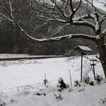 くつきそば 永昌庵 - 