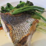 GORI 西麻布 - 胡椒鯛のソテー柑橘系のクリームソース