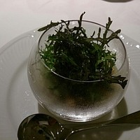 シーン - ホワイトアスパラと玄米のリゾット、茶葉のせ
