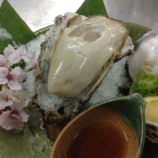 海鮮料理 美加茂_1