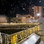 温石 - 淡雪ならぬ泡雪です