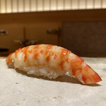 鮨 さいとう - 車海老