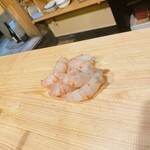 うを徳 - 北海道羽幌産 ボタン海老