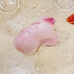 うを徳 - 利尻島産 鮃