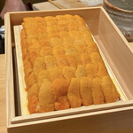 鮨 つぼみ - 濱中 馬糞ウニ
      美しい！！