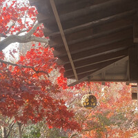 炭焼うな富士 白壁別邸 - 京都か！