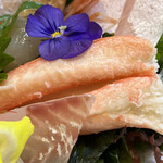 醍醐 - ズワイガニ