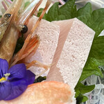 醍醐 - ぶりとろ