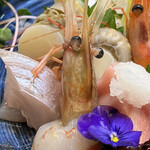 醍醐 - 富山えび(ボタン海老)