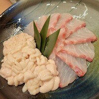 寿司赤酢・望月 - 白子とくえ