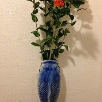 巽蕎麦 志ま平 - 