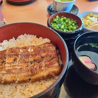 赤坂ふきぬき - 