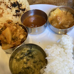 ヴェヌス サウス インディアン ダイニング - 4種カレー
