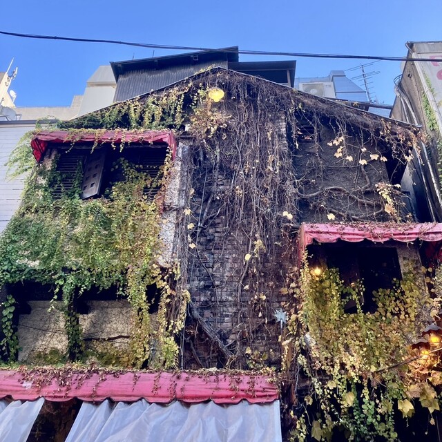 新宿三丁目：72年だそうです』by まめぞう : どん底 (どんぞこ)- 新宿