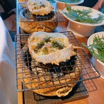 レフェルヴェソンス - 