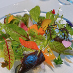 レフェルヴェソンス - 