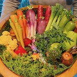 レフェルヴェソンス - 