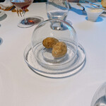 レフェルヴェソンス - 