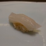 鮨 なんば - 白烏賊