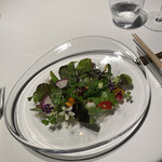 レフェルヴェソンス - 